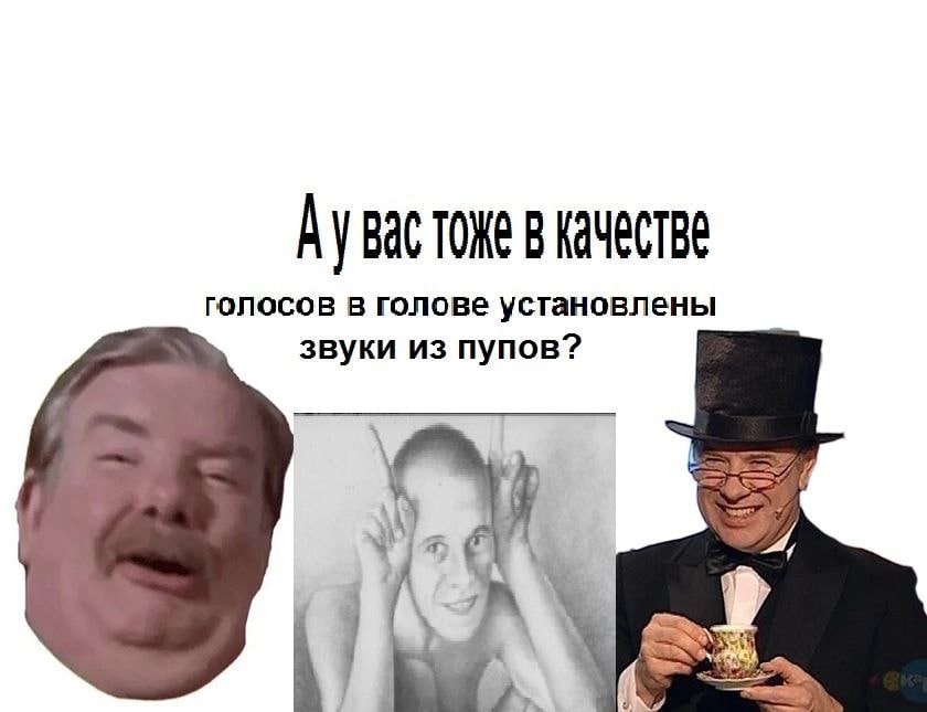 А ВАС ТОЖЕ В КАЧЕСТВЕ голосов в голове установлены звуки из пупов? 4