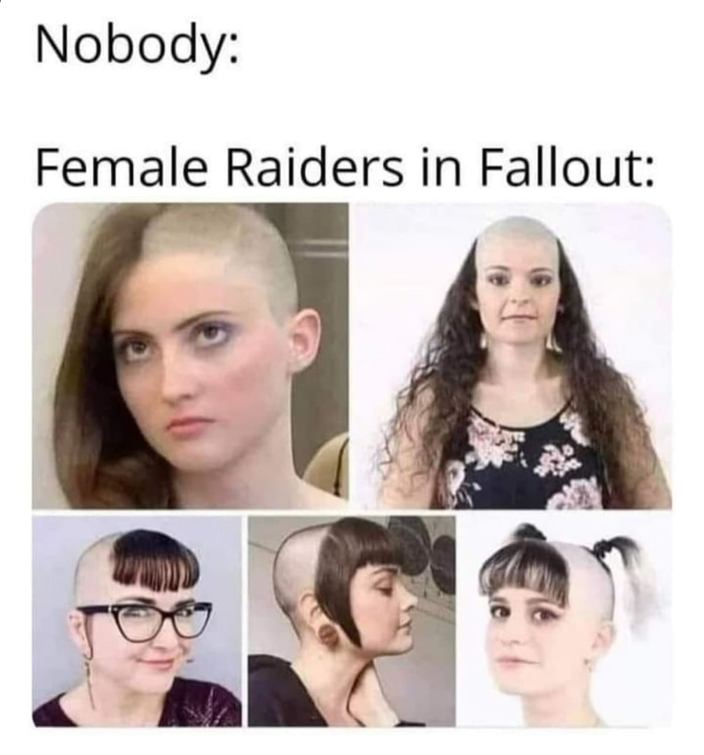 Nobody: Raiders in Fallout aN