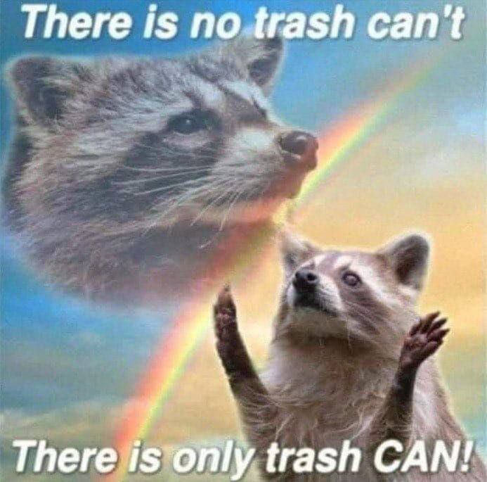 There is no trash can't Треге trash A Nis