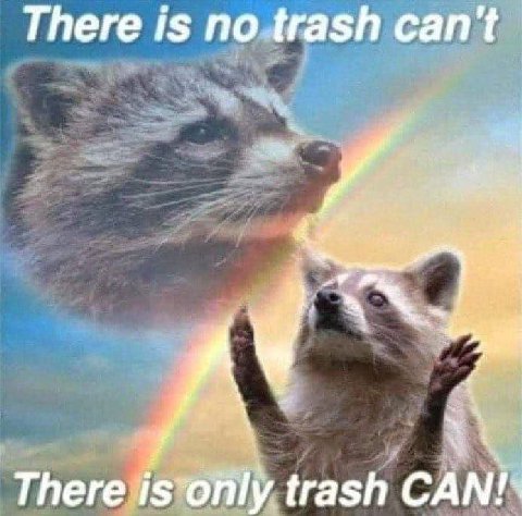 There is no trash can't Треге trash A Nis