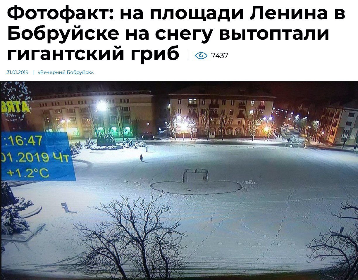 Фотофакт: на площади Ленина в Бобруйске на снегу вытоптали гигантский гриб 31.01.2019 «Вечерний Бобруйск» Sot и