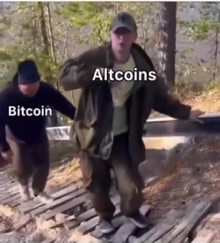 Altcoins Bitcoin