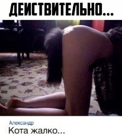ДЕИСТВИТЕЛЬНО... Александр Кота жалко...