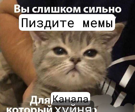 Вы слишком сильно Пиздите мемы