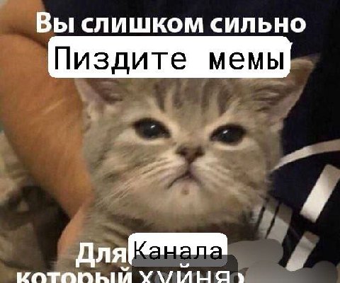 Вы слишком сильно Пиздите мемы