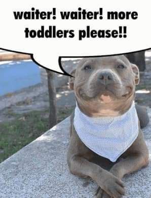 waiter! waiter! more toddlers please!! А 7