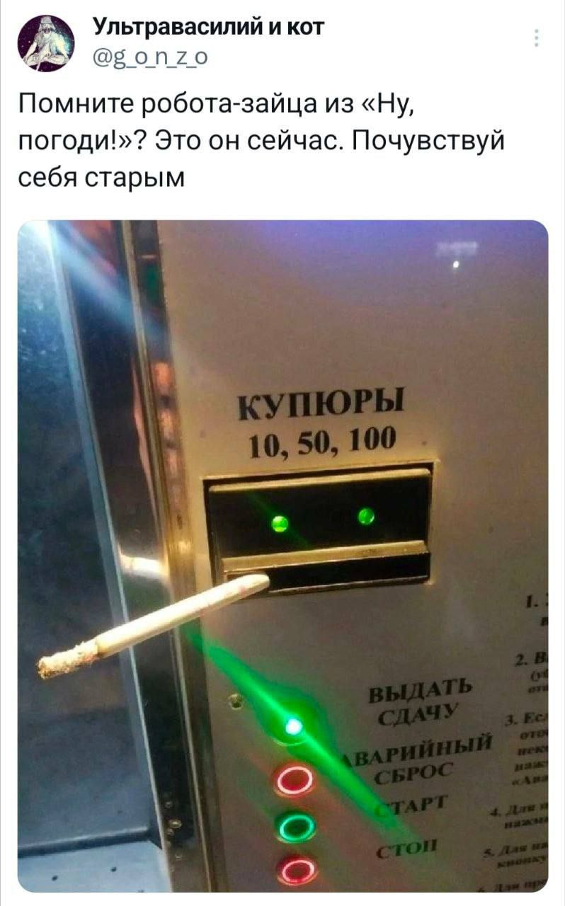 Ультравасилий и кот @gonzo Помните робота-зайца из погоди!»? Это он сейчас. Почувствуй себя старым 3