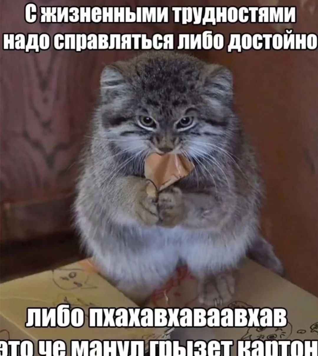 С жизненными трудностями надо справляться либо достойно либо пхахавхаваавхав