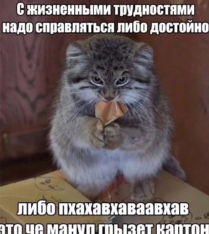 С жизненными трудностями надо справляться либо достойно либо пхахавхаваавхав