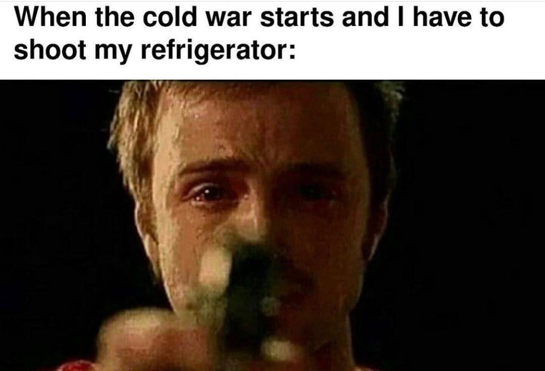 When the cold маг starts and have to shoot my refrigerator: