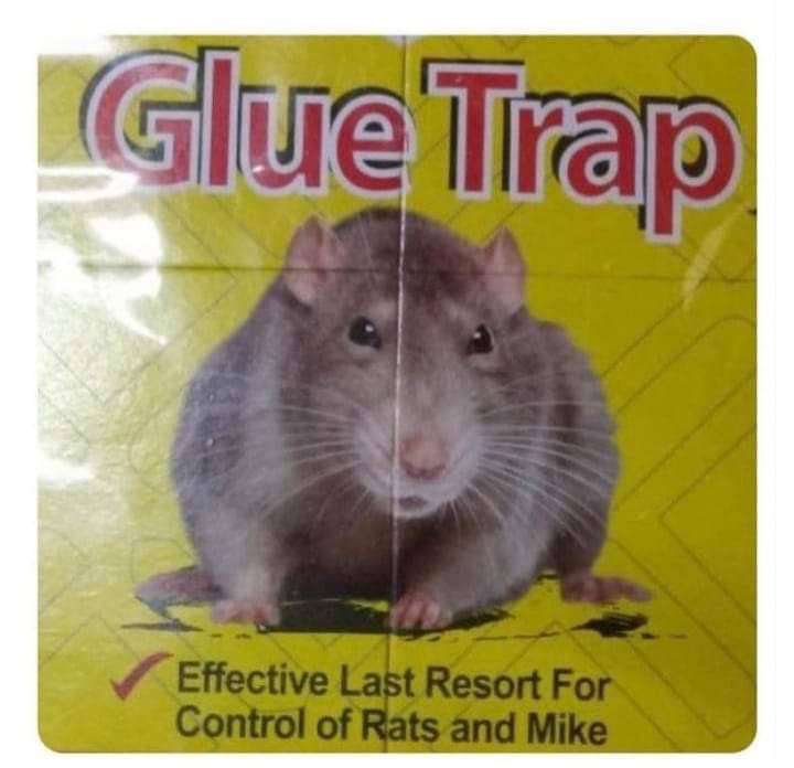 К А 4 и