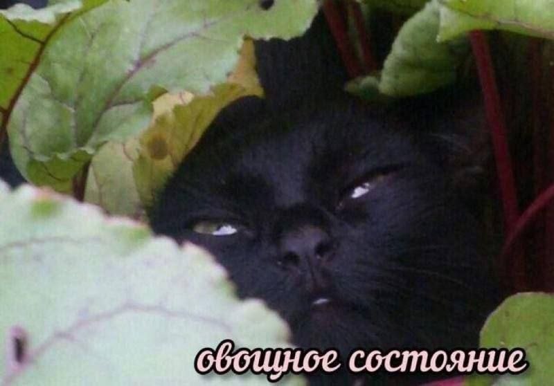 ббошное состояние