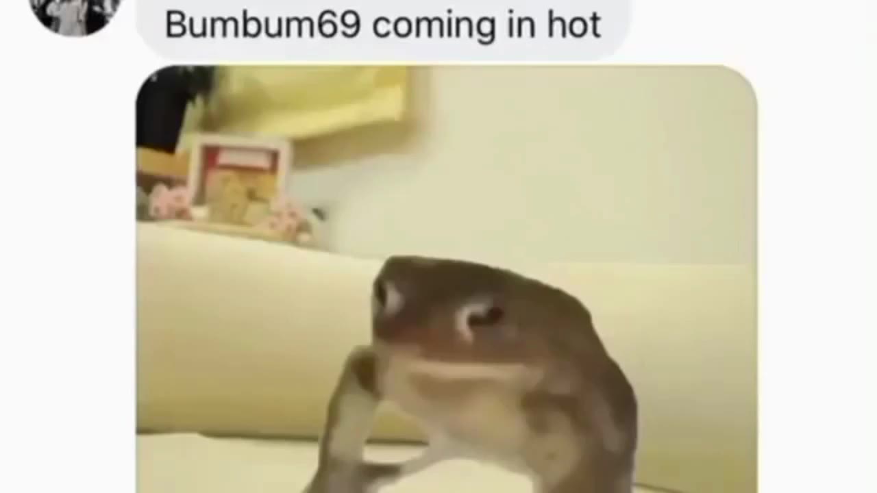 у RamRanch 18 on standby SS ВитЬитб9 coming т hot = <<Monke 4, ready to ooga some 97 Shitcunt1o0n standby