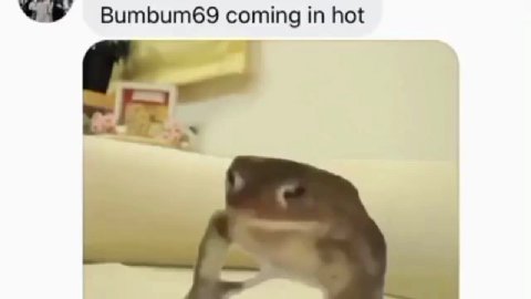 у RamRanch 18 on standby SS ВитЬитб9 coming т hot = <<Monke 4, ready to ooga some 97 Shitcunt1o0n standby