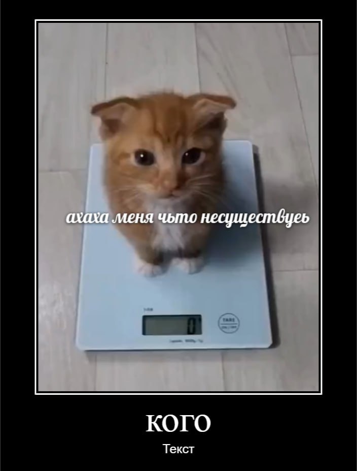 ахаха меня чьто несуществуеь KOTO Текст