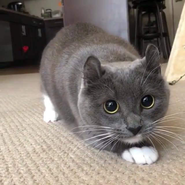 you died