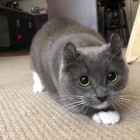 you died