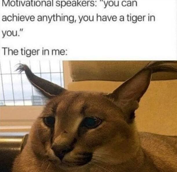 опа! Speakers: YOu Can achieve anything, you have a tiger in you.” The tiger in me