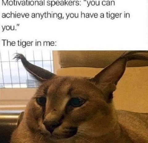 опа! Speakers: YOu Can achieve anything, you have a tiger in you.” The tiger in me