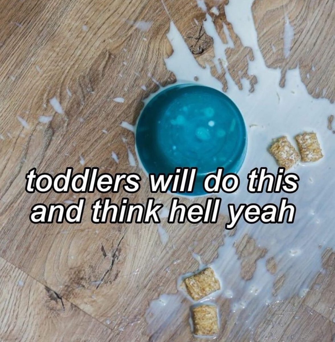 toddlers will this and think hell yeah