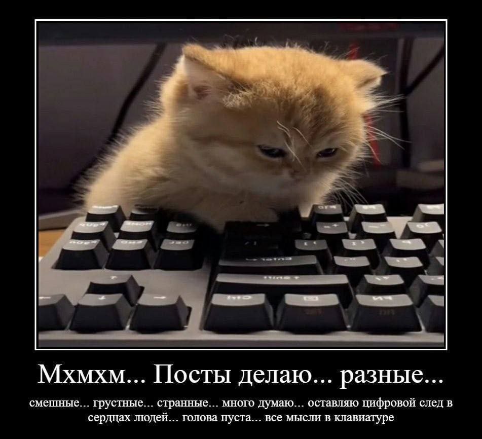 Мхмхм... Посты делаю... разные... смешные... грустные... странные... много думаю... оставляю цифровой след в сердцах людей... голова пуста... все мысли в клавиатуре