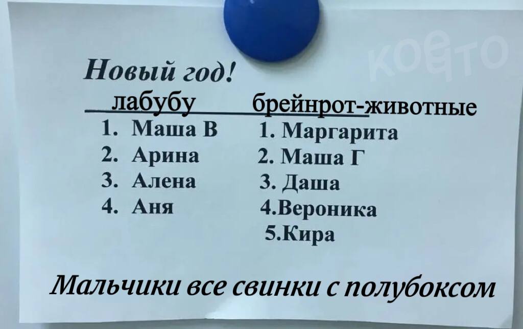 Новый год! лабубу брейнрот-животные 1. Маша В 1. Маргарита 2. Арина 2. Маша 3. Алена 3. Даша 4. Аня 4.Вероника 5.Kupa Мальчики все свинки с полубоксом