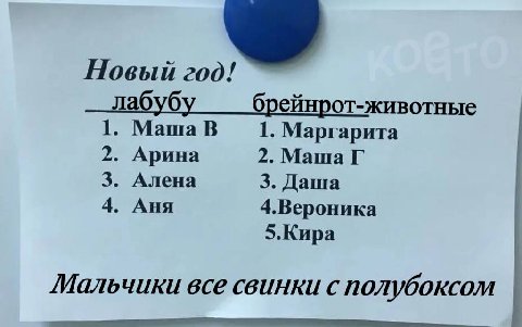 Новый год! лабубу брейнрот-животные 1. Маша В 1. Маргарита 2. Арина 2. Маша 3. Алена 3. Даша 4. Аня 4.Вероника 5.Kupa Мальчики все свинки с полубоксом