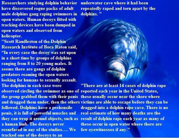 Researchers studying dolphin behavior underwater cave where И had been have discovered rogue packs of adult repeatedly raped and torn apart the male dolphins gang raping swimmers open waters. Human de