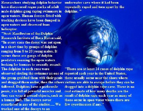 Researchers studying dolphin behavior underwater cave where И had been have discovered rogue packs of adult repeatedly raped and torn apart the male dolphins gang raping swimmers open waters. Human de