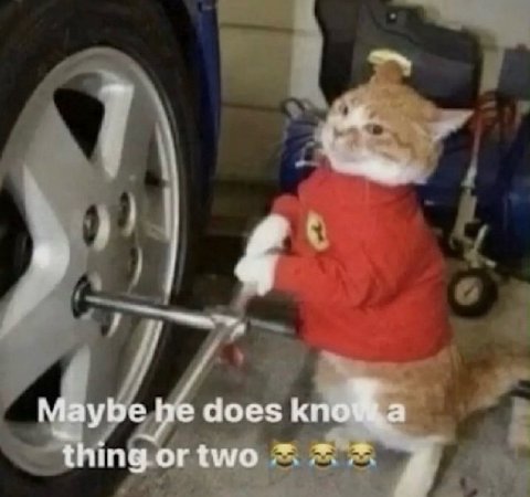 Maybe he does кпоФа thing ortwo