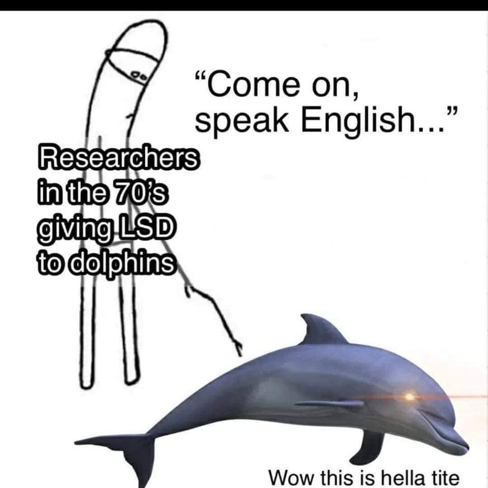 “Come speak English...” Researchers 0 Wow this is hella tite