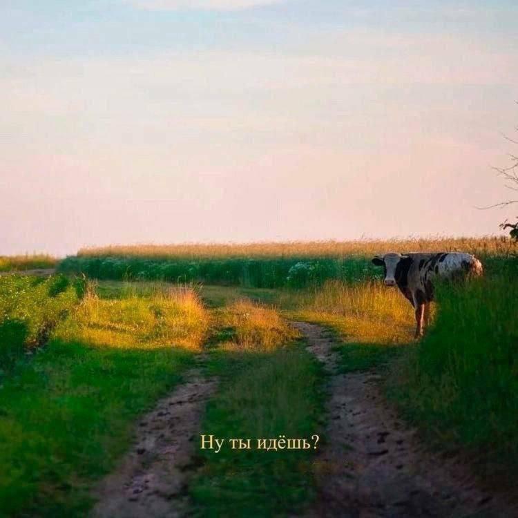 идёшь?