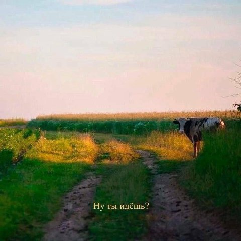 идёшь?
