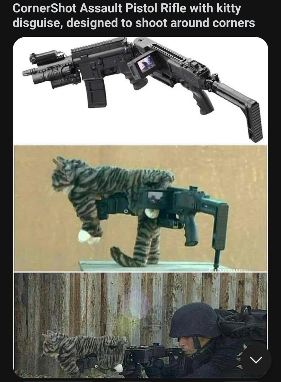 CornerShot Assault Pistol Rifle with kitty disguise, designed to shoot around corners