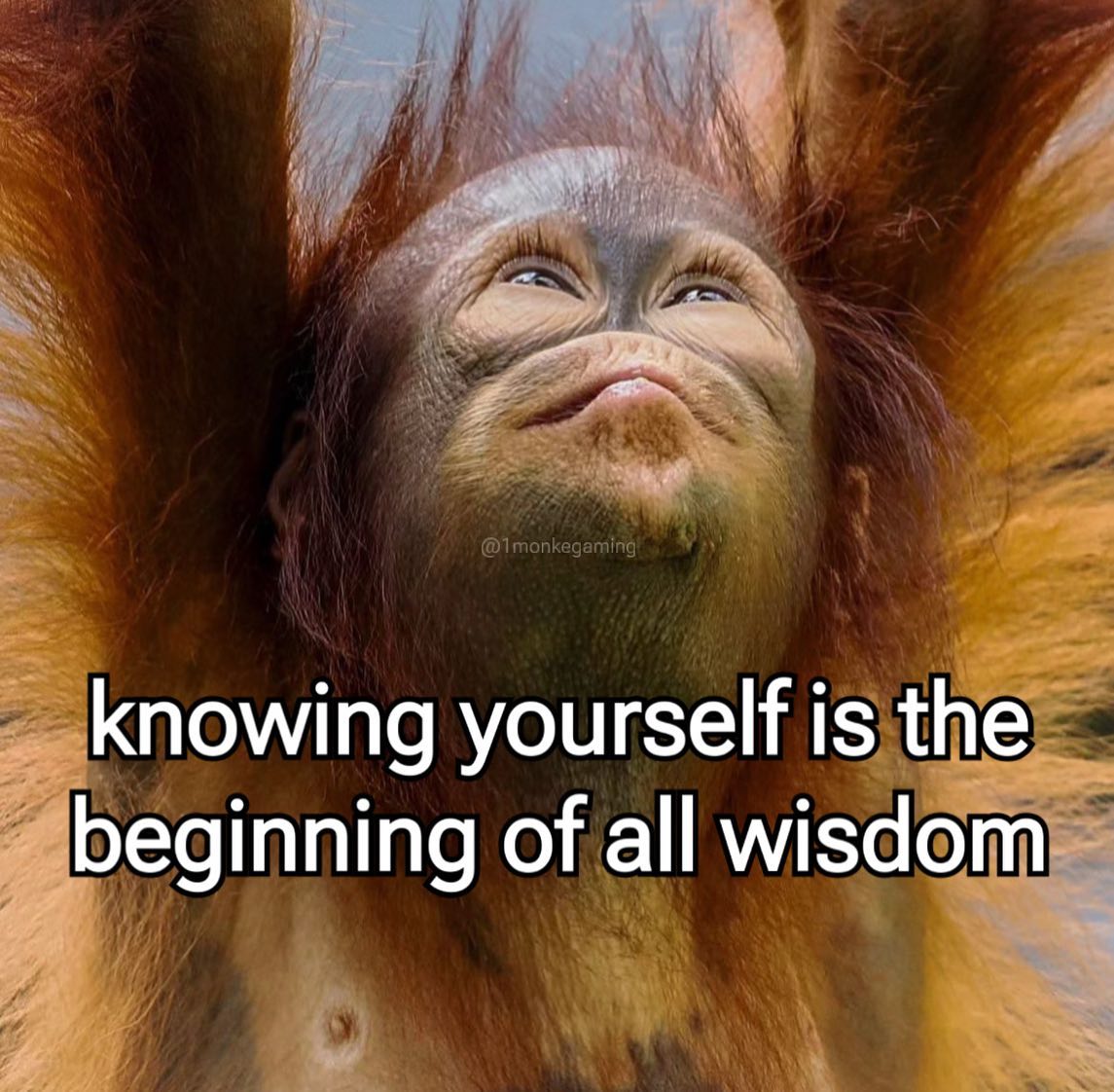 knowing yourself is the beginning of all wisdom