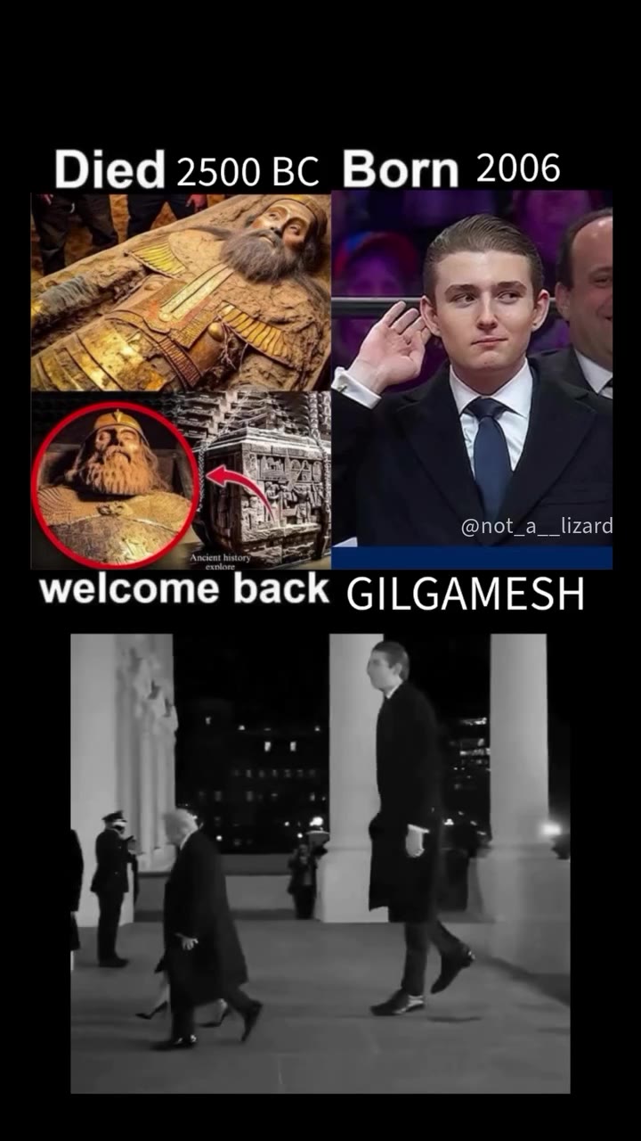 welcome back G/LGAMESH
