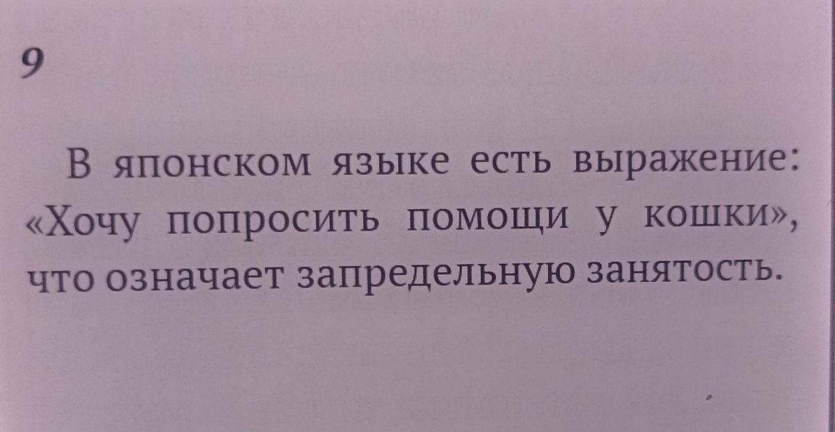 В японском языке есть выражение: «Хочу попросить помощи у кошки», что означает запредельную занятость.