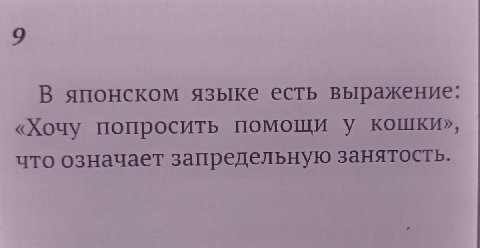 В японском языке есть выражение: «Хочу попросить помощи у кошки», что означает запредельную занятость.