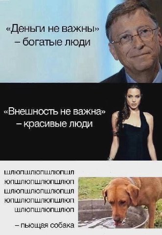 «Деньги не важны» богатые люди 7. «Внешность не важна» красивые люди ШЛЮПШЛЮПШЛЮПШЛ ЮПШЛЮПШЛЮПШЛЮП ШЛЮПШЛЮПШЛЮПШЛ ЮПШЛЮПШЛЮПШЛЮП ШЛЮПШЛЮПШЛЮП пьющая собака