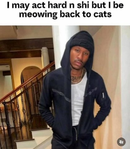 may act hard shi but be meowing back to cats