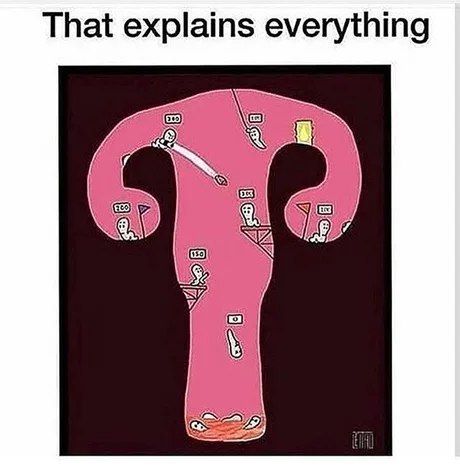 That explains everything