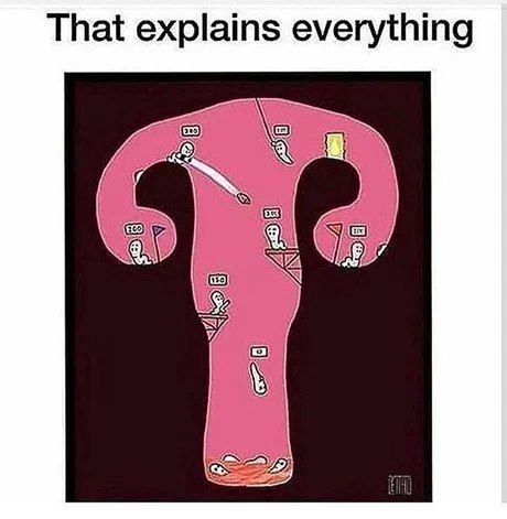 That explains everything
