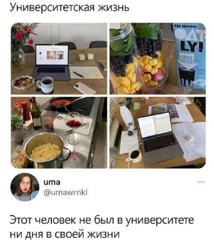 Университетская жизнь 2 uma Этот человек не был в университете ни дня в своей жизни