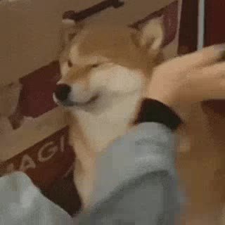 мем