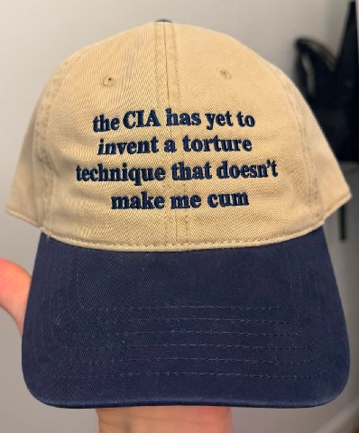 the СТА has yet to invent a torture technique that doesn't make me cum