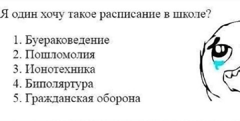 Я один хочу такое расписание в школе? 1. Буераковедение 2. Пошломолия 3. Ионотехника 4. Биполяртура 5. Гражданская оборона