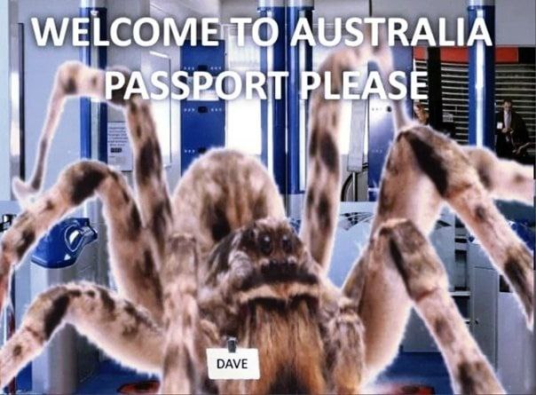 WELCOME, STRALIA DAVE