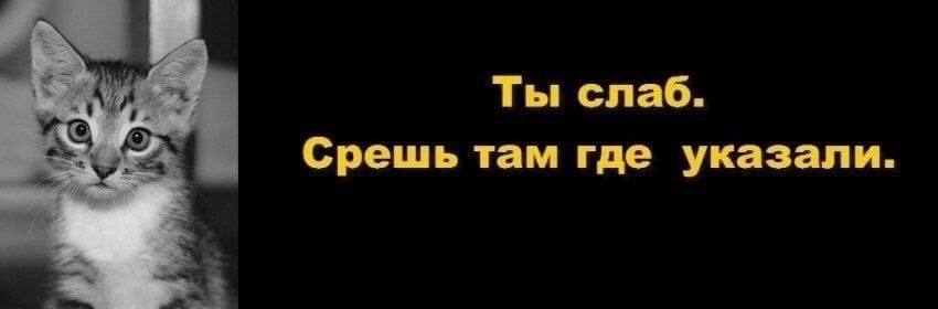 Ты слаб. Срешь там где указали.