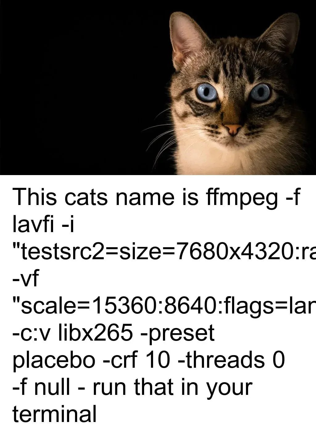This cats name is ffmpeg lavfi -i "scale=15360:8640:flags=lar libx265 -preset placebo -crf 10 -threads 0 null run that in your terminal