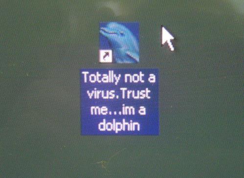 Totally not а virus. Trust те...та dolphin